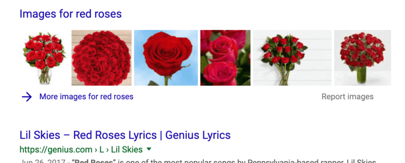 Google image box search engine results pages